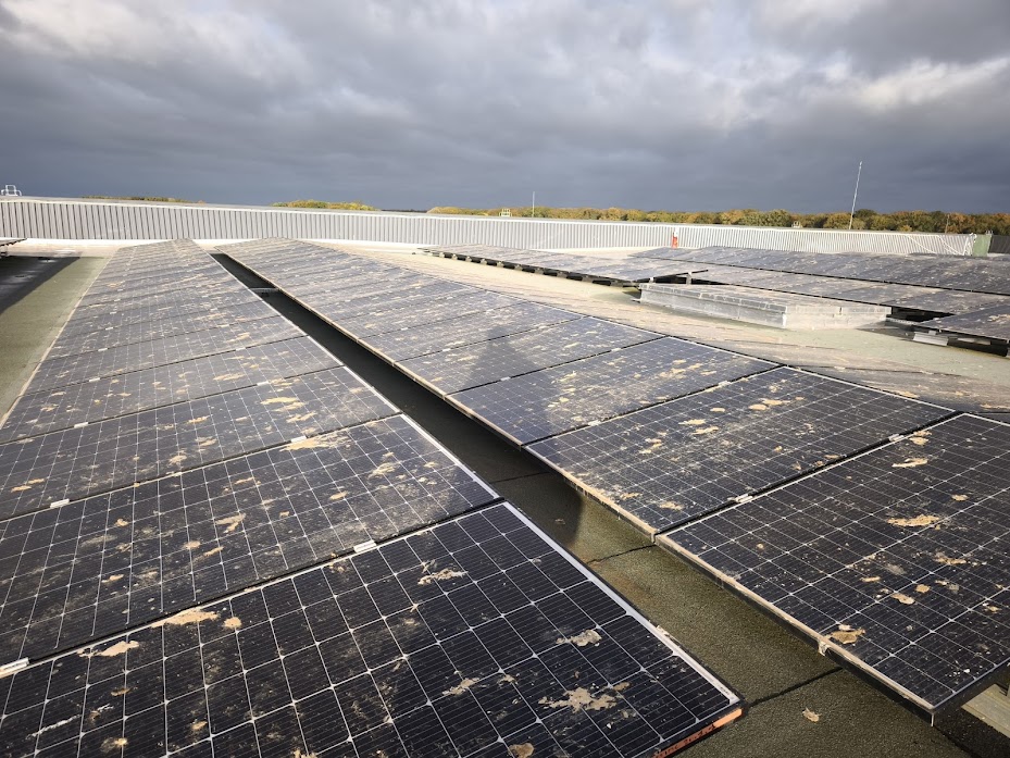 Impact des fientes d'oiseaux