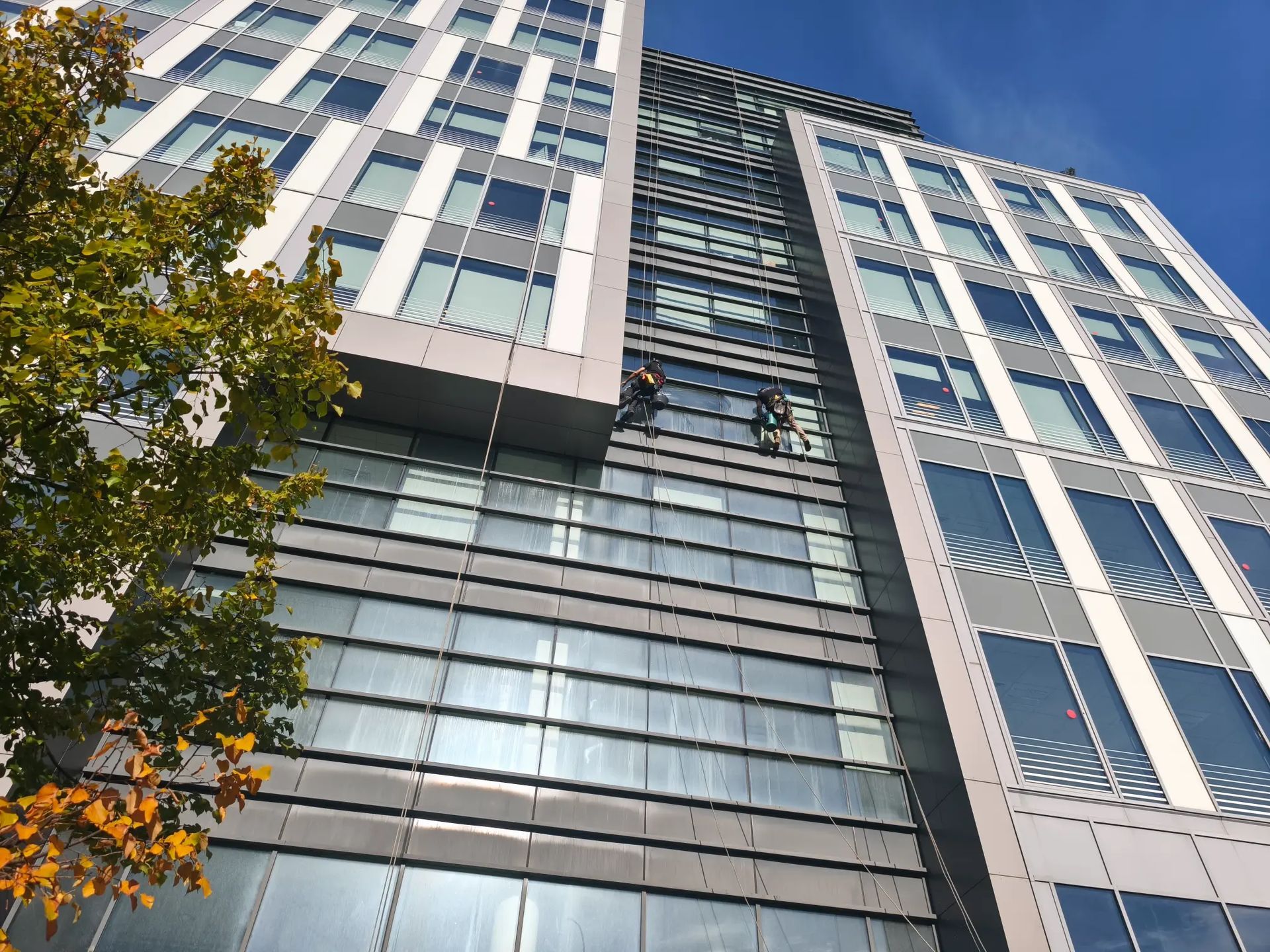 Travaux de précision